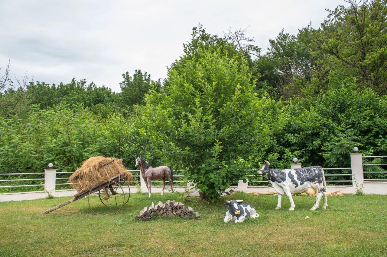Chukhur Gabala Museum Hotel Eksteriør billede